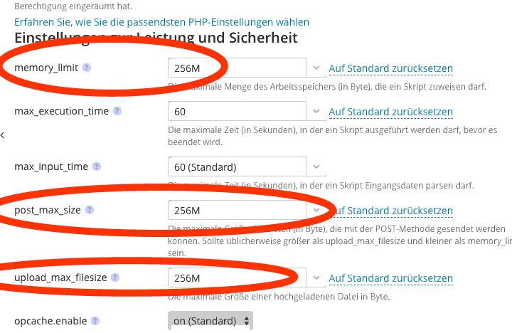 PHP-Einstellungen in Plesk für unser Web